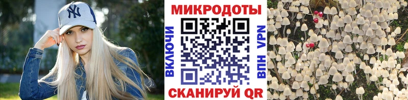 Псилоцибиновые грибы MAGIC MUSHROOMS Ставрополь